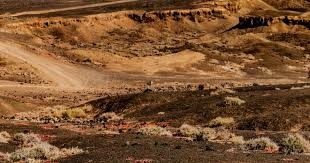 中华职棒球队战术执行更加成熟